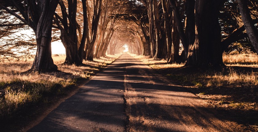 Photo by Casey Horner on Unsplash