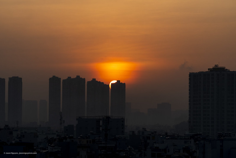 Photo of the day:  Hide &&nbsp;Seek